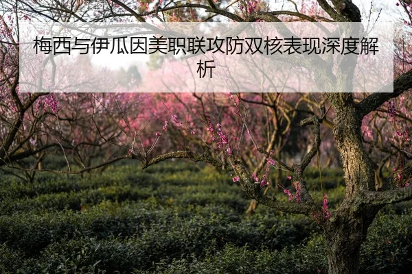 梅西与伊瓜因美职联攻防双核表现深度解析